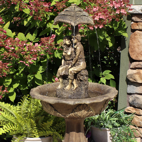 Ophelia & Co. Hornsby Solar Fountain with LED Light & Reviews Wayfair